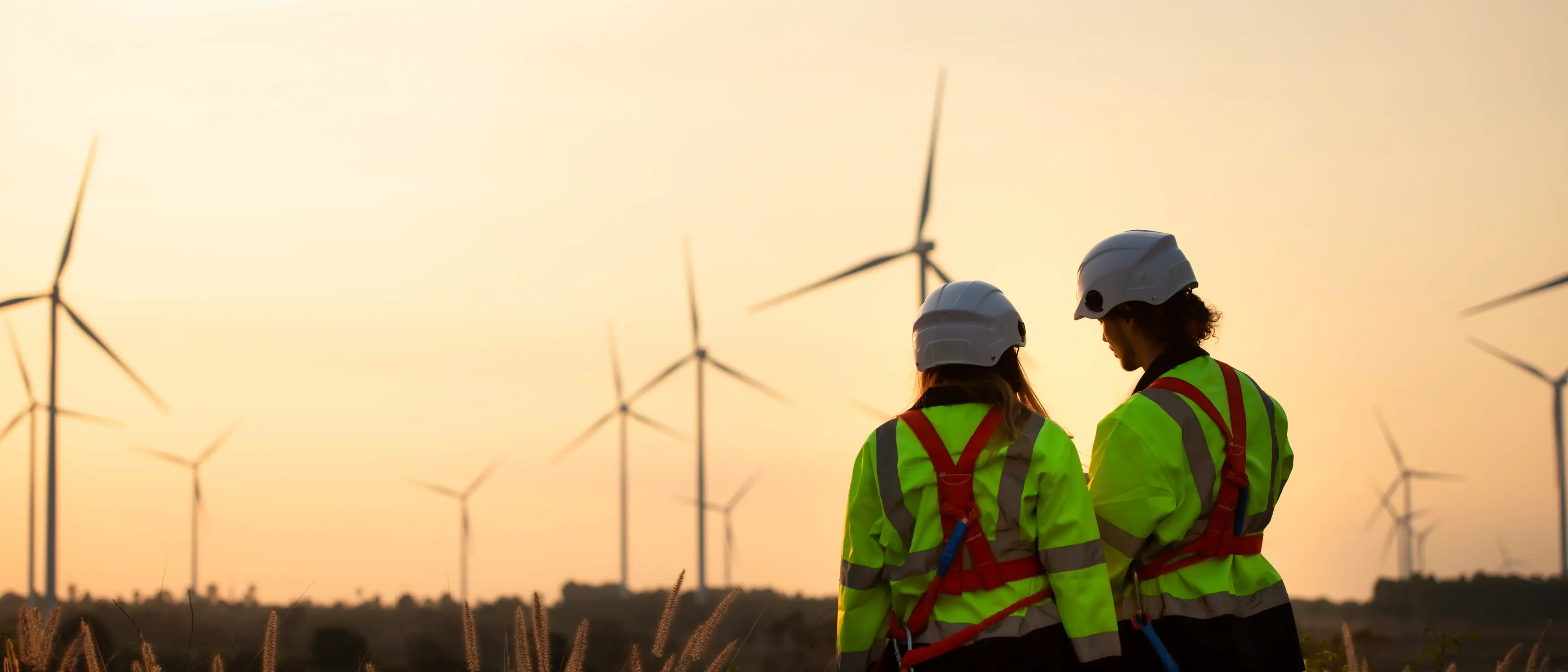 Energy workers at wind farm
