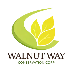 Walnut Way