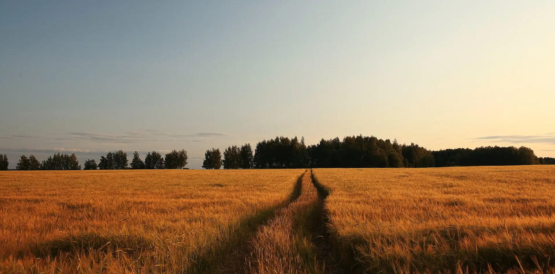 Sun Bear Industries - Solar Energy Solutions