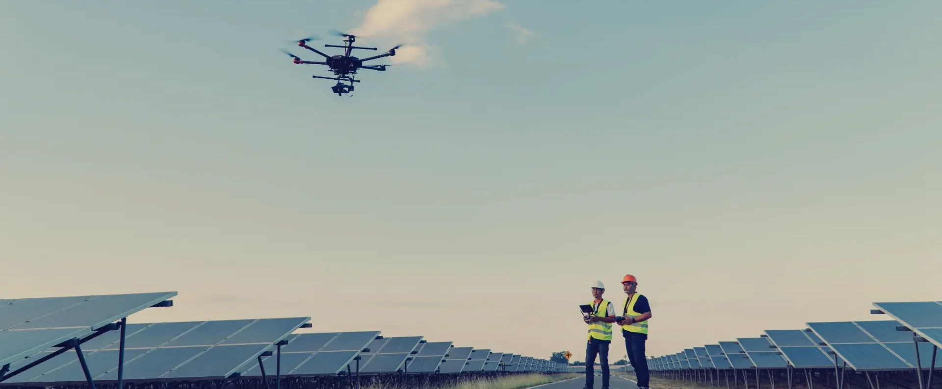 Sun Bear Industries Team