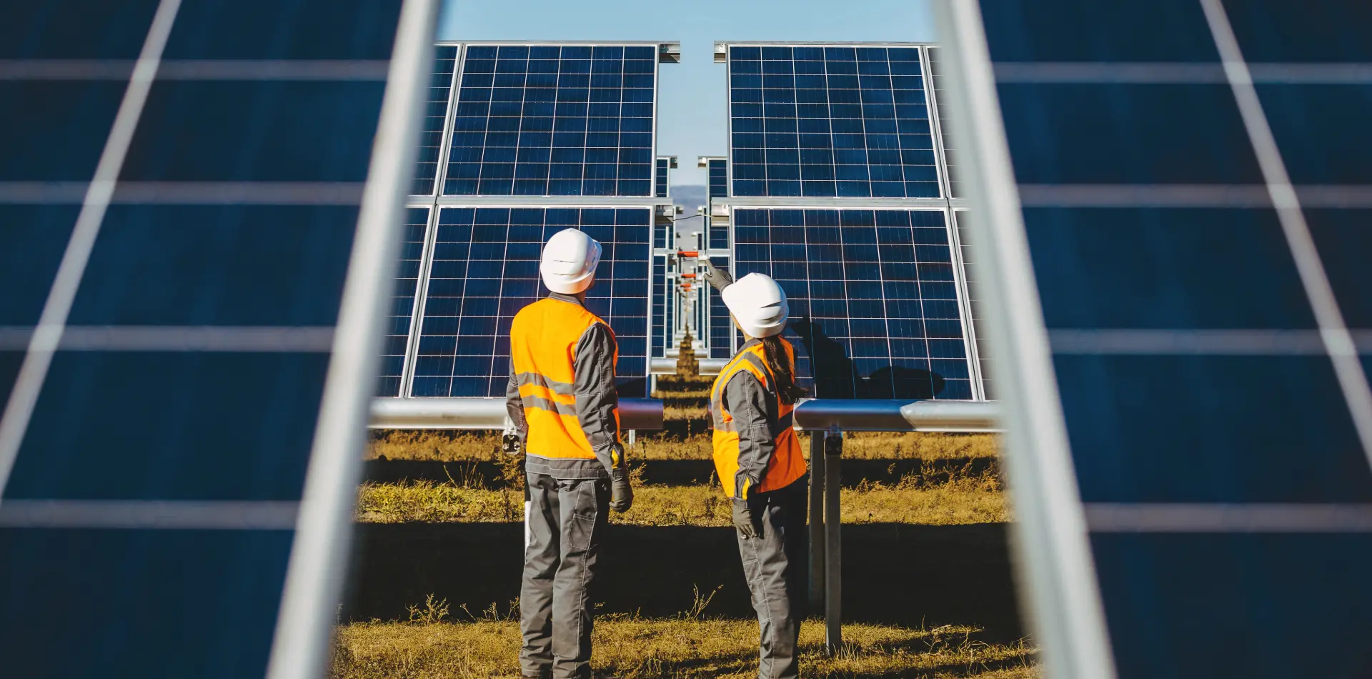 Contact Sun Bear Industries