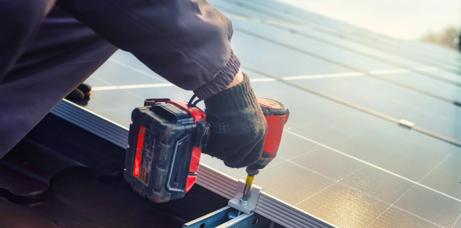 Contact Sun Bear Industries