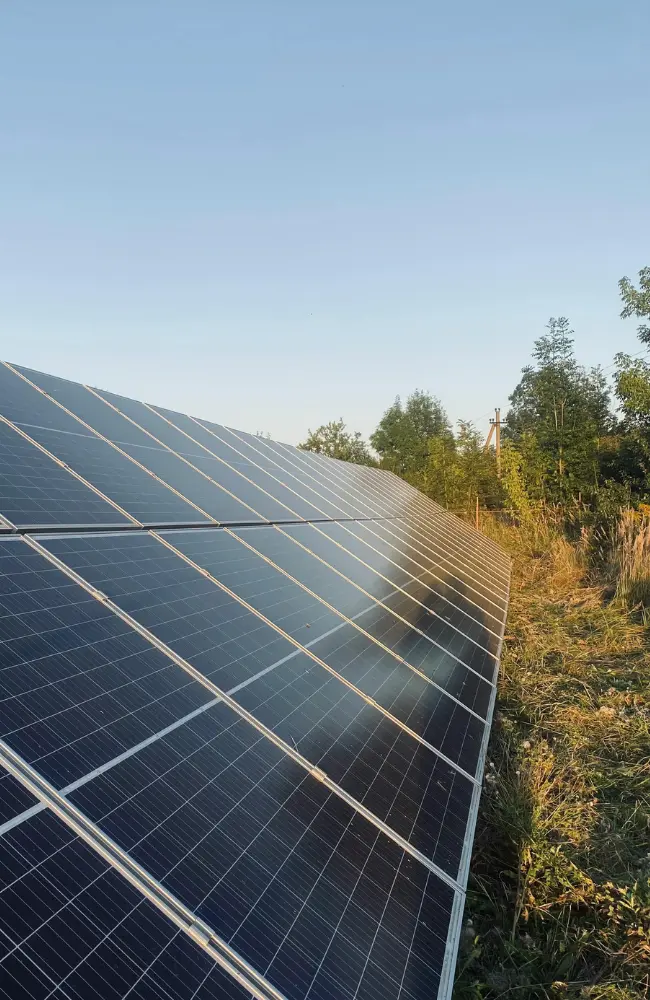 Contact Sun Bear Industries