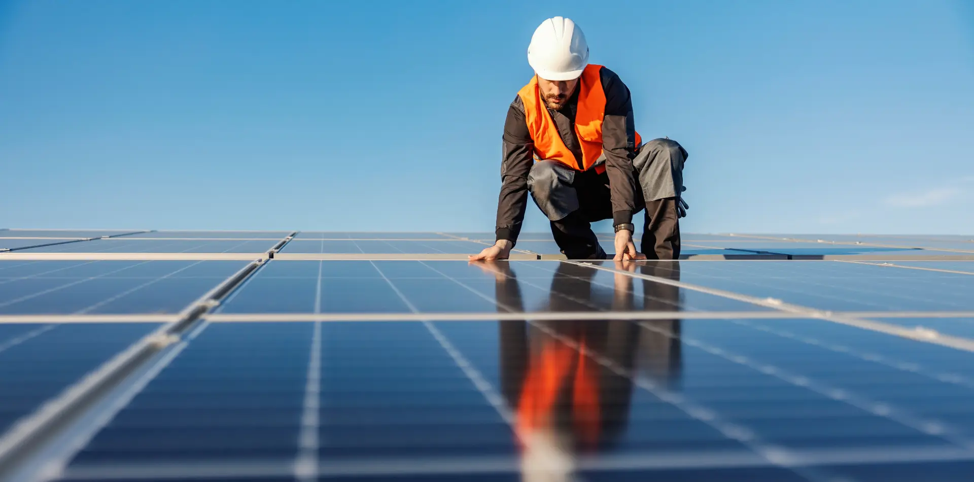 Contact Sun Bear Industries